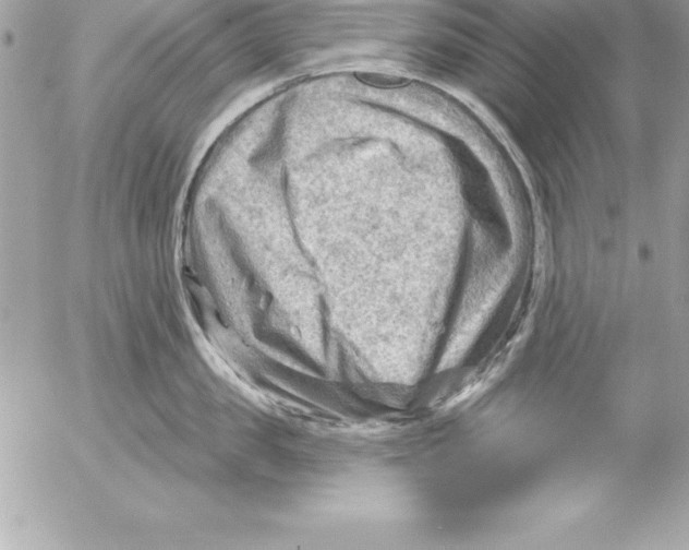 X0000054400957200508262228