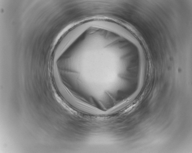 X0000054400958200508262228