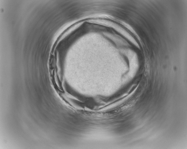 X0000054400959200508262228