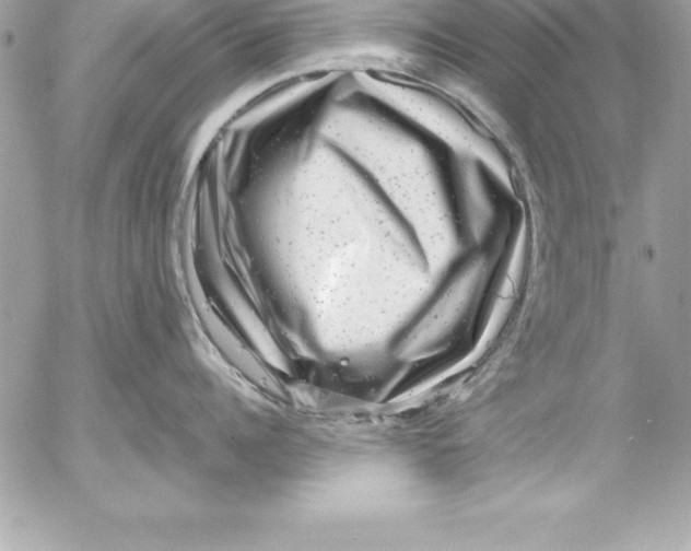 X0000054400960200508262228