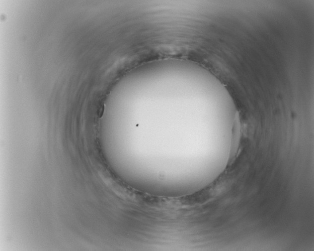 X0000054400961200508262227