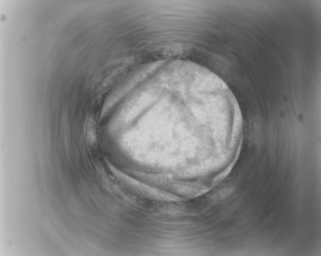 X0000054400962200508262227