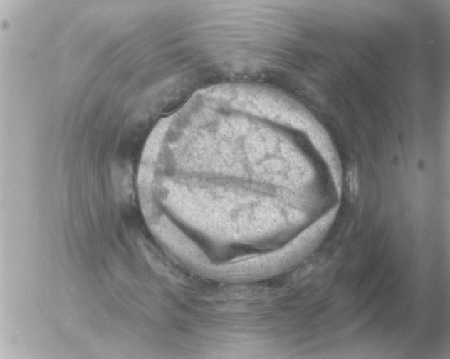 X0000054400963200508262227