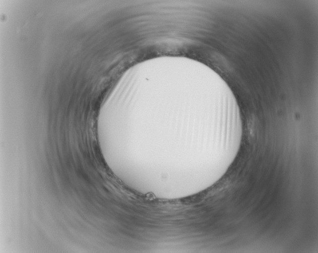 X0000054400964200508262227