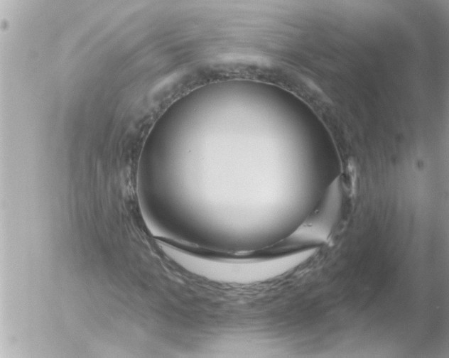 X0000054400965200508262227