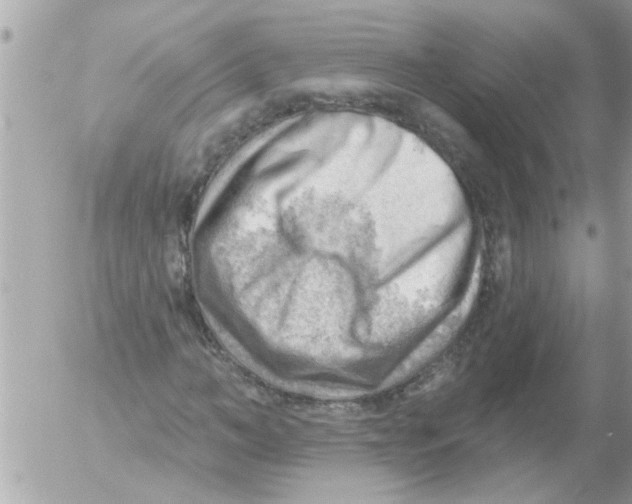 X0000054400966200508262227