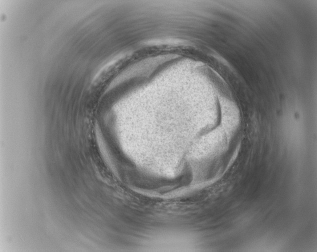 X0000054400967200508262227