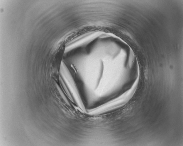 X0000054400968200508262227