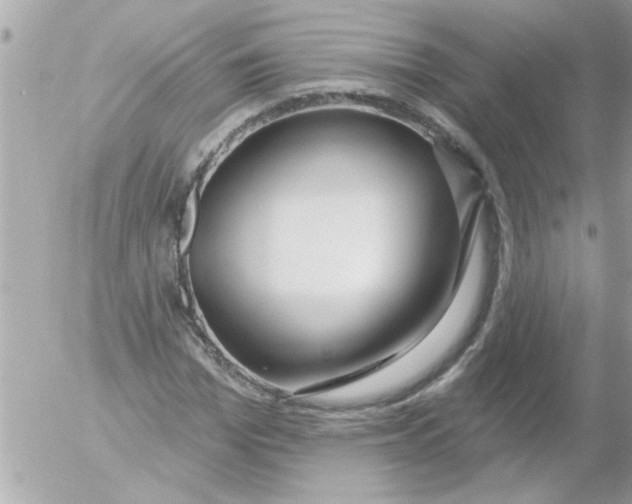 X0000054400969200508262227