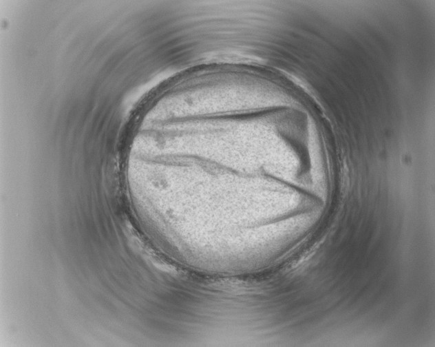 X0000054400971200508262227