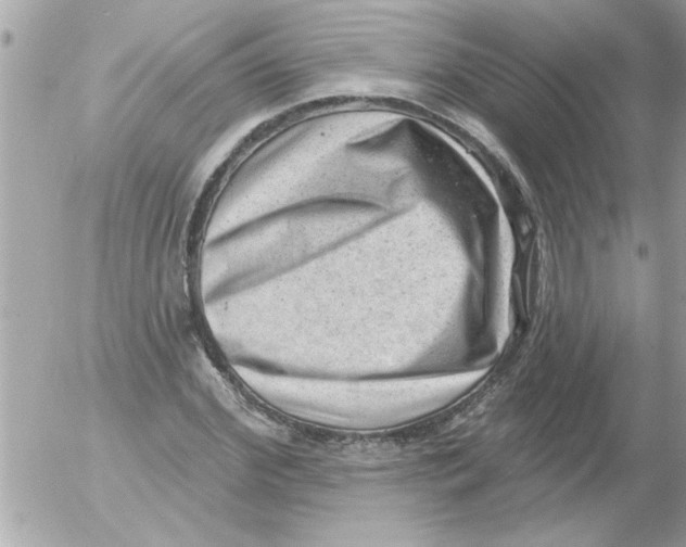 X0000054400972200508262227