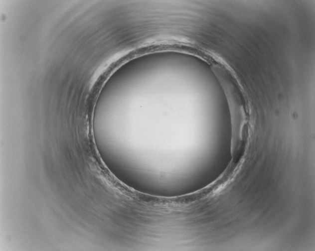 X0000054400973200508262227