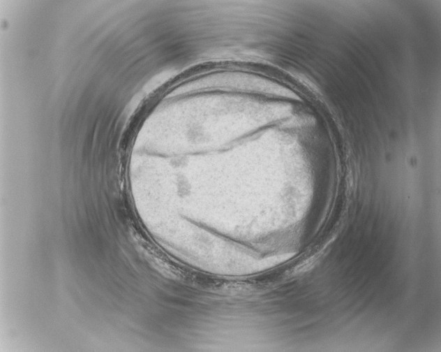 X0000054400974200508262227