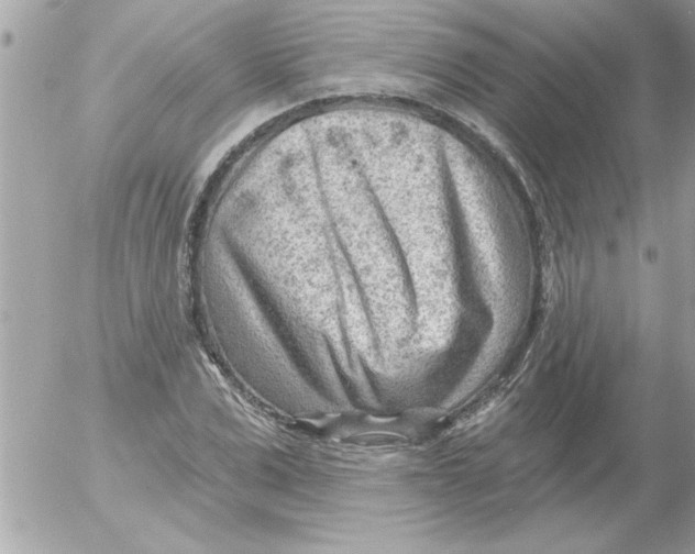 X0000054400975200508262227