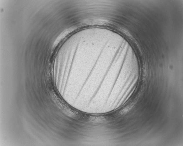 X0000054400978200508262227