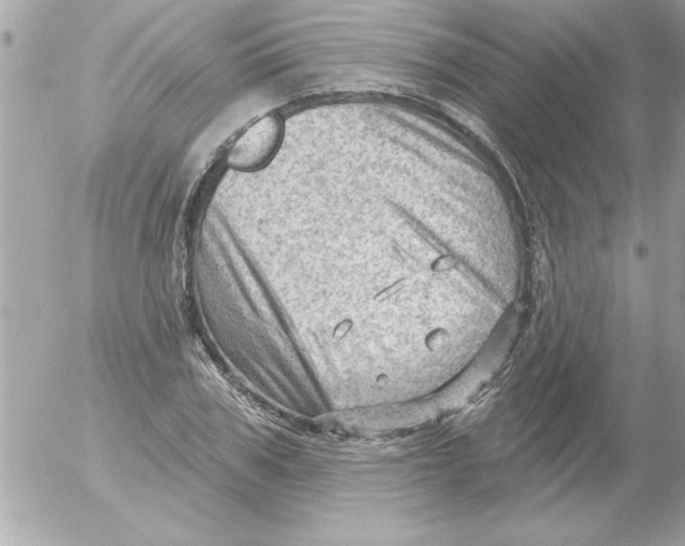 X0000054400979200508262227