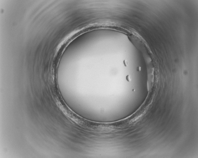 X0000054400981200508262227