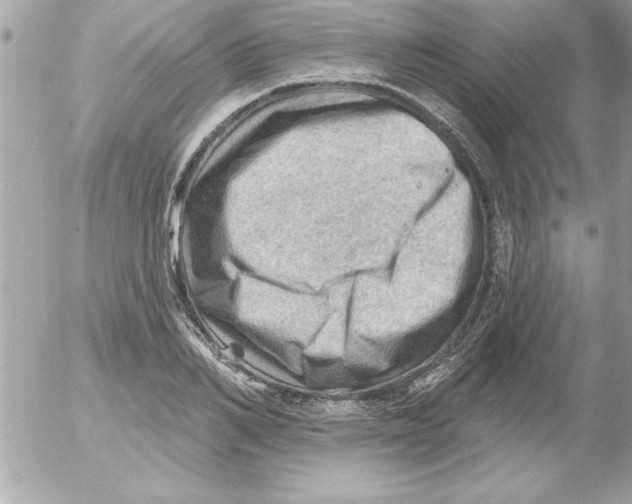 X0000054400982200508262226