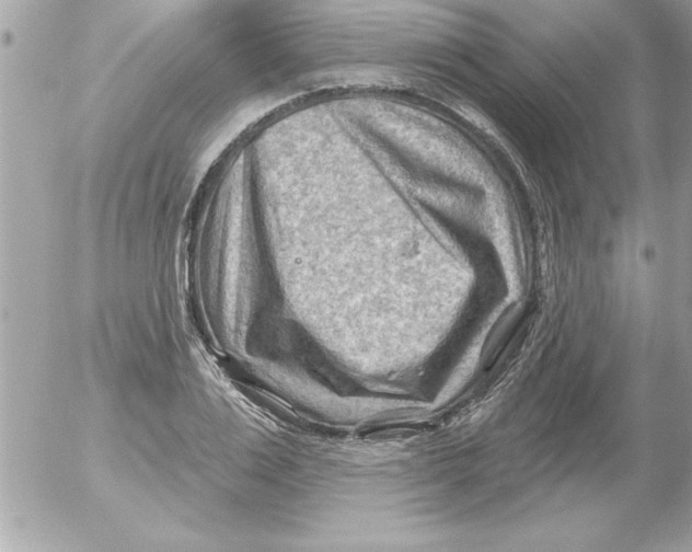 X0000054400983200508262226