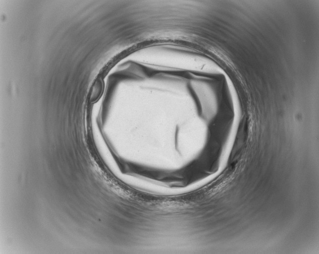 X0000054400984200508262226