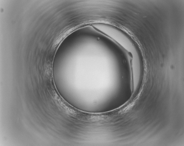 X0000054400985200508262226