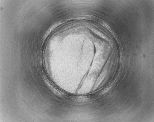 X0000054400986200508262226