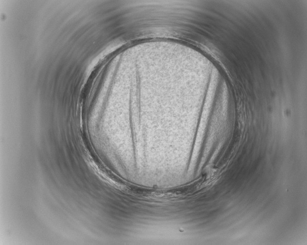 X0000054400987200508262226