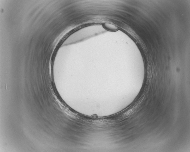 X0000054400988200508262226