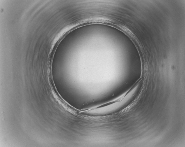 X0000054400989200508262226