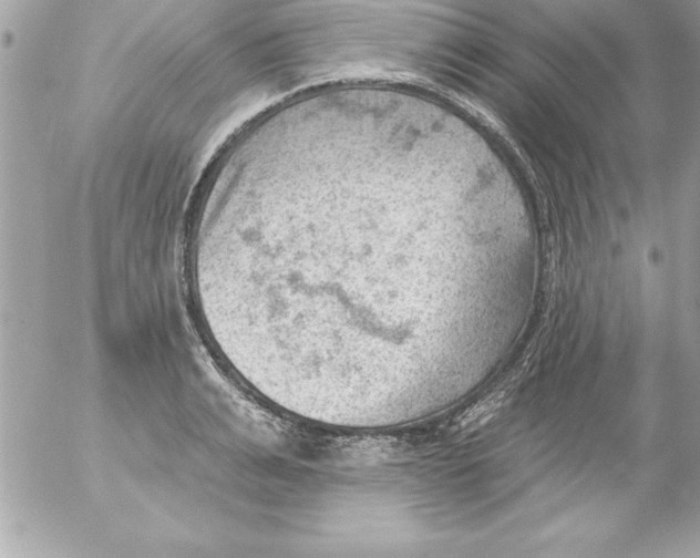 X0000054400991200508262226