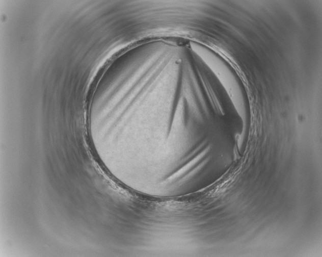 X0000054400992200508262226