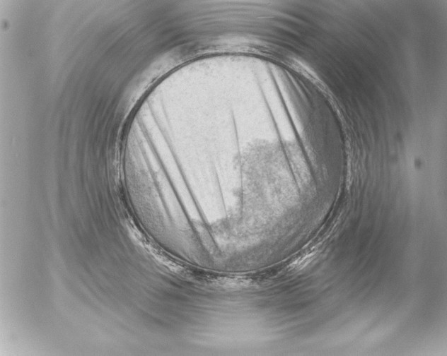 X0000054400994200508262226