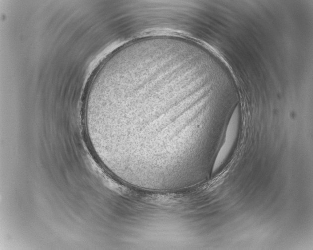 X0000054400995200508262226