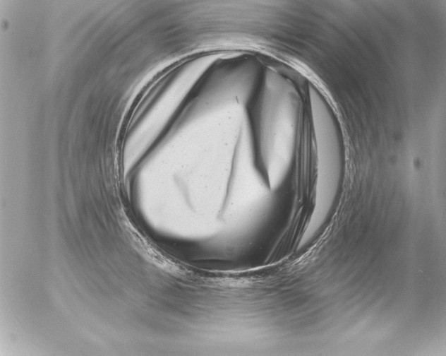 X0000054400996200508262226