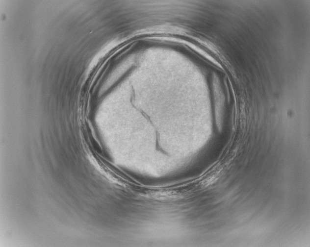 X0000054400998200508262226