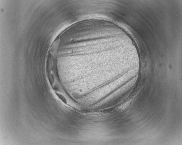 X0000054400999200508262226