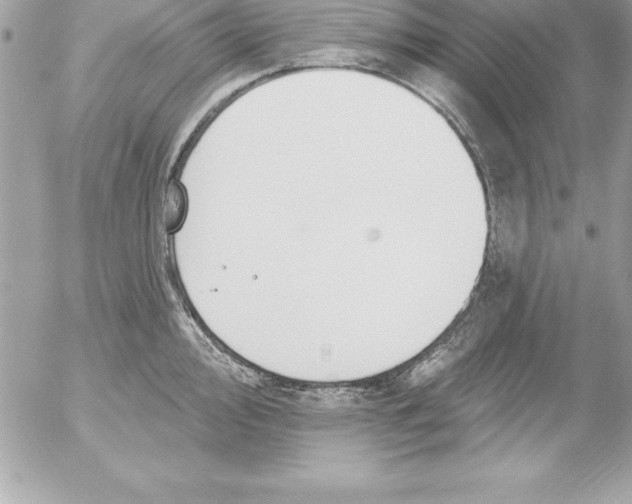 X0000054401000200508262226