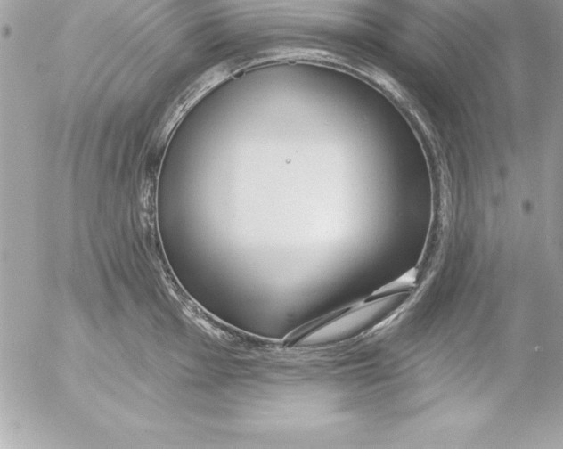 X0000054401001200508262226