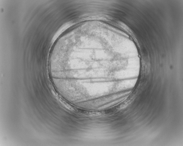 X0000054401002200508262226