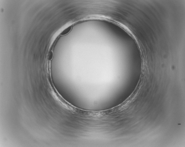 X0000054401003200508262226