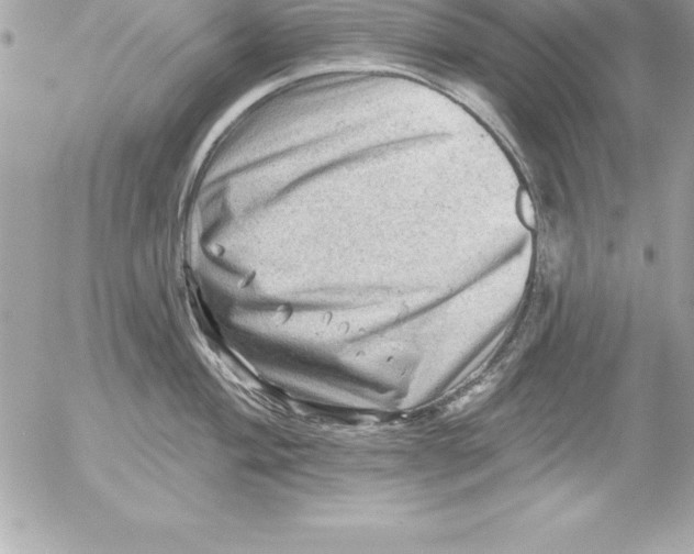 X0000054401004200508262226