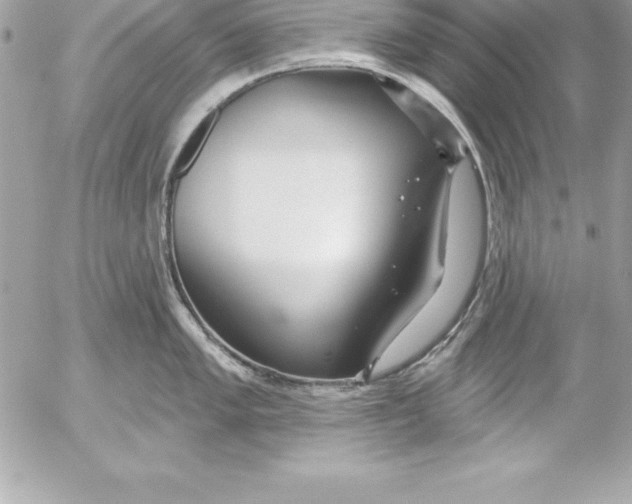 X0000054401005200508262226