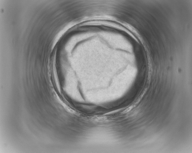 X0000054401006200508262226