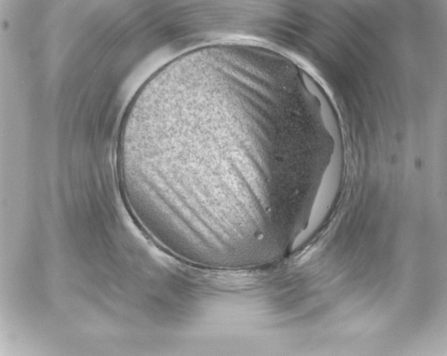 X0000054401007200508262226