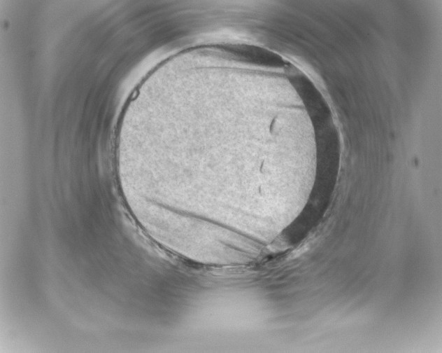 X0000054401008200508262226