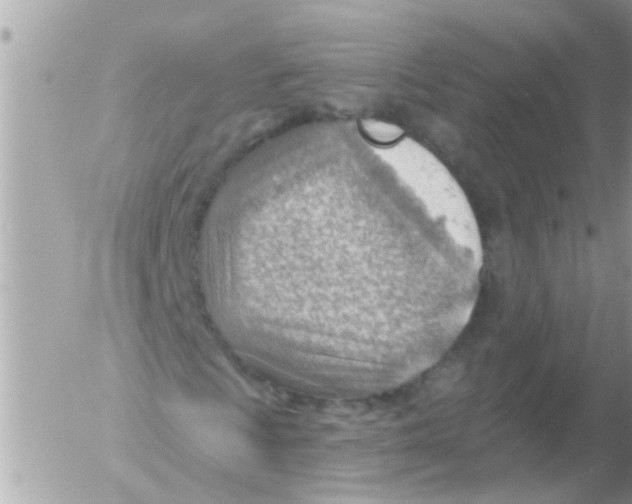 X0000054401009200508262225