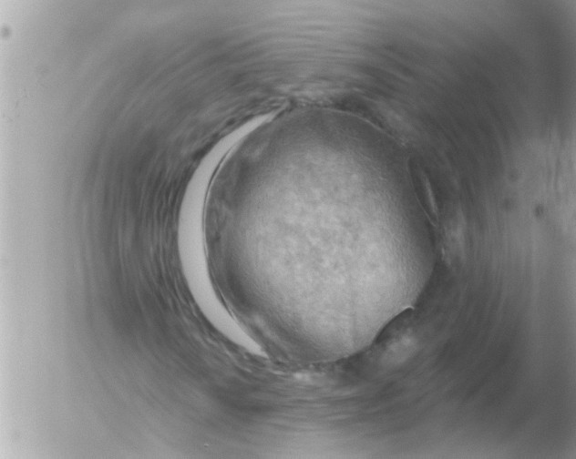 X0000054401010200508262225