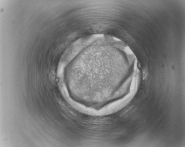 X0000054401011200508262225