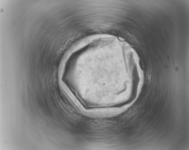 X0000054401012200508262225