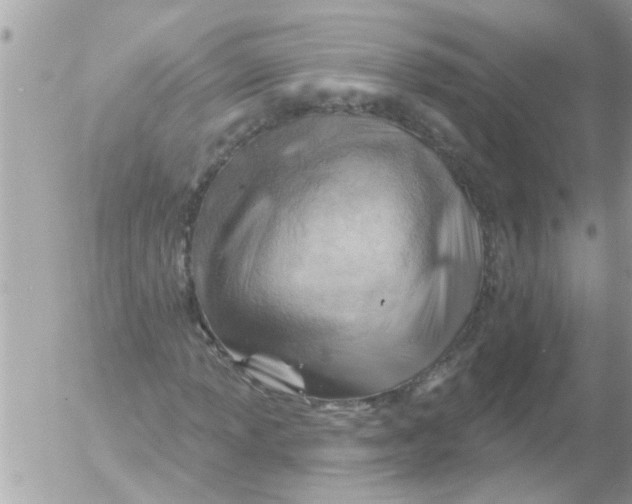 X0000054401013200508262225